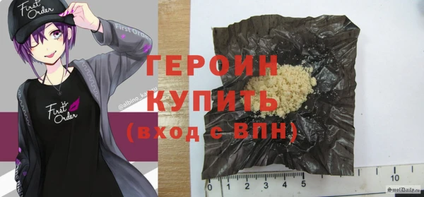 индика Горнозаводск