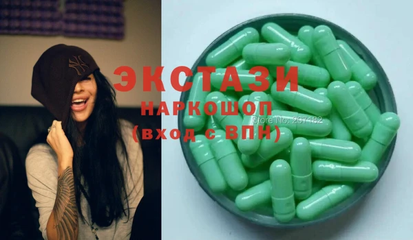индика Горнозаводск
