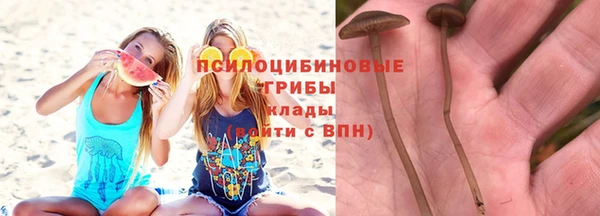 индика Горнозаводск