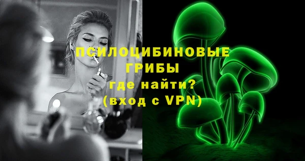 дмт Горно-Алтайск