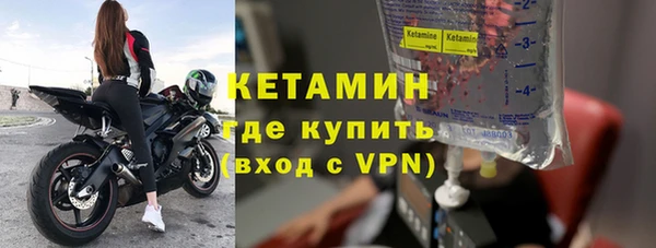 индика Горнозаводск
