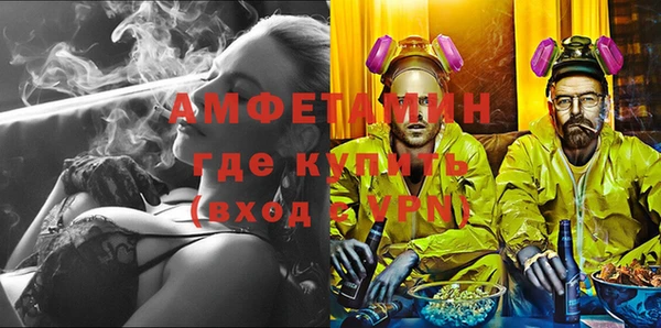 индика Горнозаводск