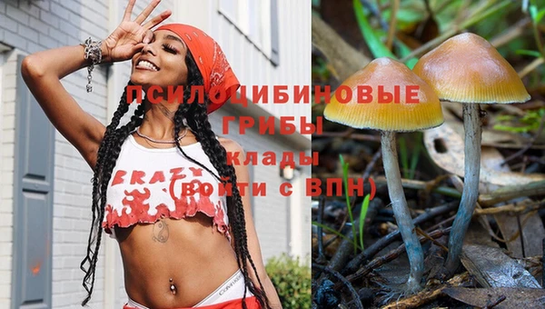 индика Горнозаводск