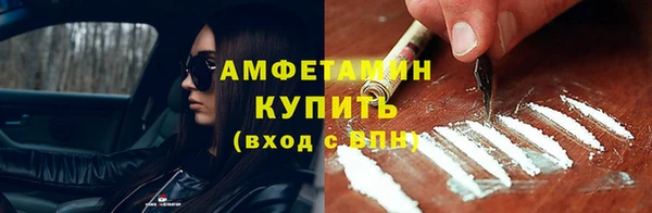 индика Горнозаводск