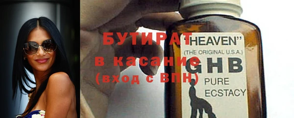индика Горнозаводск