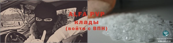 индика Горнозаводск