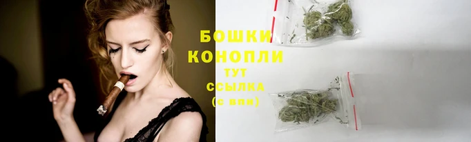 индика Горнозаводск