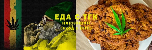 индика Горнозаводск