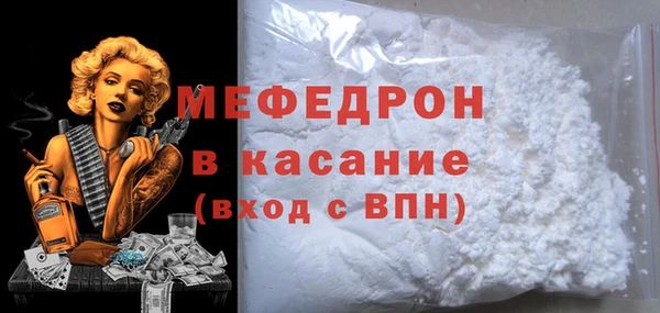 индика Горнозаводск