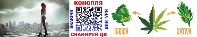 Бошки марихуана ГИДРОПОН  наркотики  Макарьев 